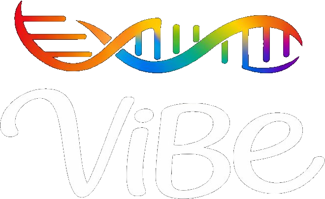 ViBe